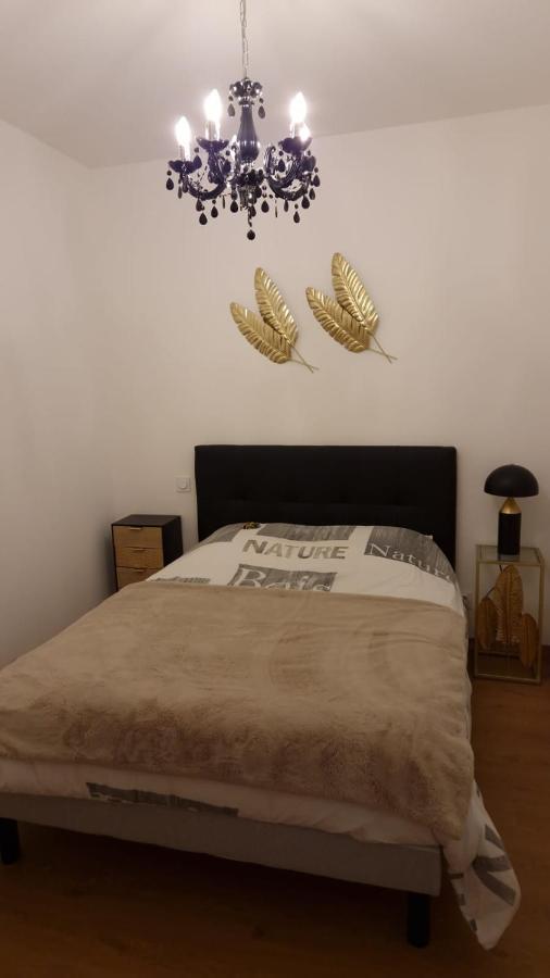 Appartement Cosy Centre Ville Roanne Zewnętrze zdjęcie