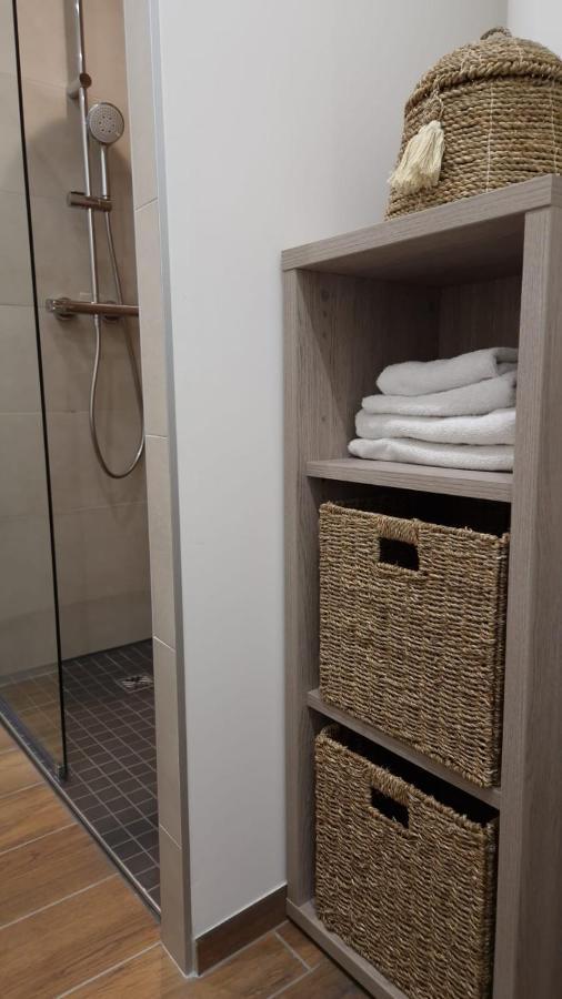 Appartement Cosy Centre Ville Roanne Zewnętrze zdjęcie