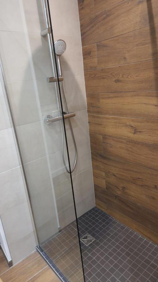Appartement Cosy Centre Ville Roanne Zewnętrze zdjęcie