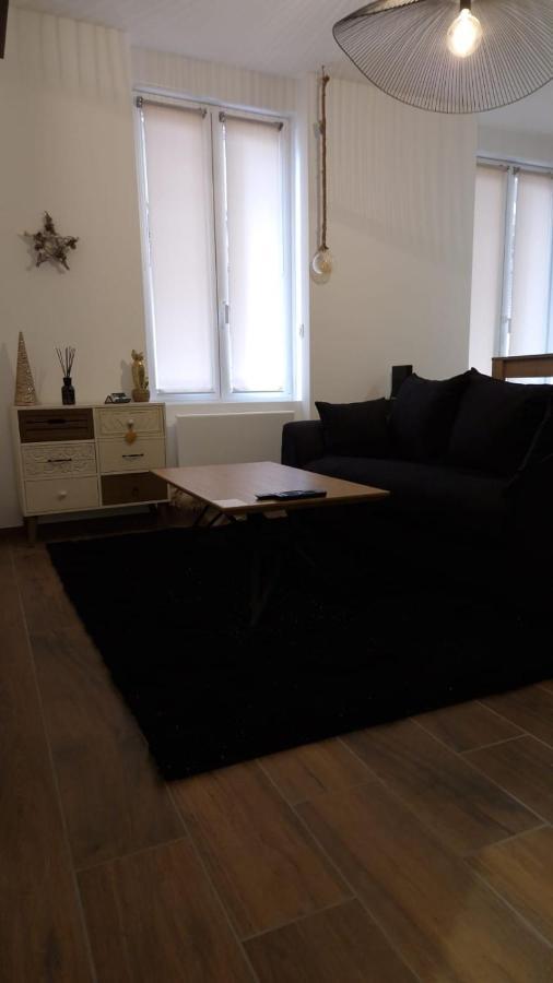 Appartement Cosy Centre Ville Roanne Zewnętrze zdjęcie