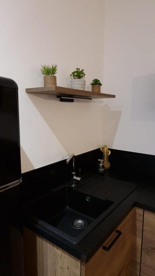 Appartement Cosy Centre Ville Roanne Zewnętrze zdjęcie