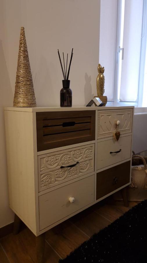 Appartement Cosy Centre Ville Roanne Zewnętrze zdjęcie